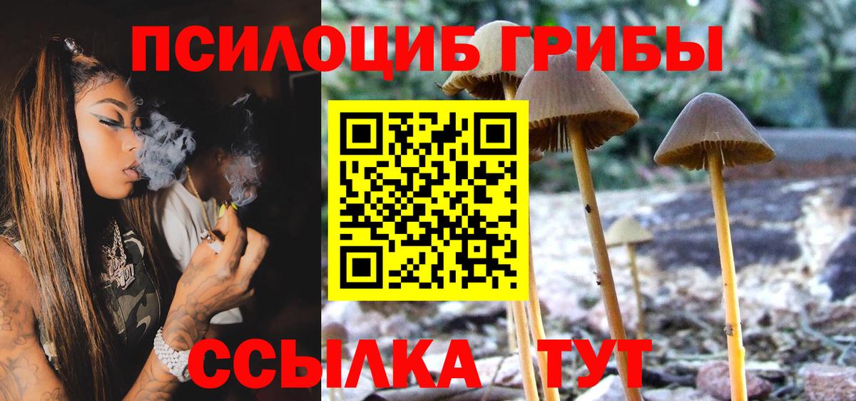 Псилоцибиновые грибы Psilocybine cubensis  Галлюциногенные грибы мухоморы  Вход с VPN  Коммунар 